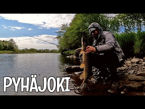 KALASSA PYHÄJOELLA - AHVENTA JA HAUKEA