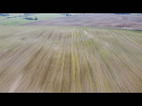 172. Feldexkursion: N-Düngung zu Raps im Herbst? - NU Agrar GmbH, 23.09.2020