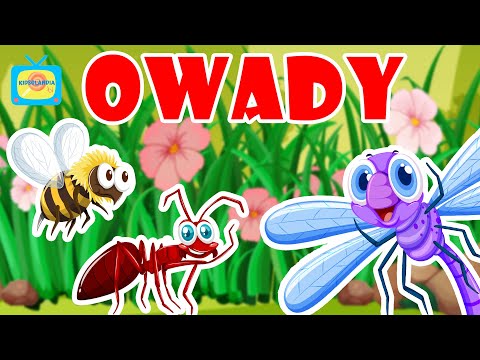 Owady - Nauka zwierząt dla dzieci - Bajka edukacyjna dla dzieci