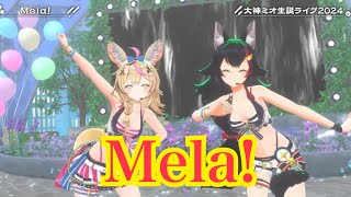 Mela! 【３DLive】晴れ時々にわかミオ【 #大神ミオ生誕ライブ2024 】
