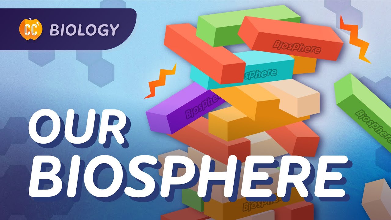 Conservation Biology: Sixth Mass Extinction?: Crash Course Biology #10