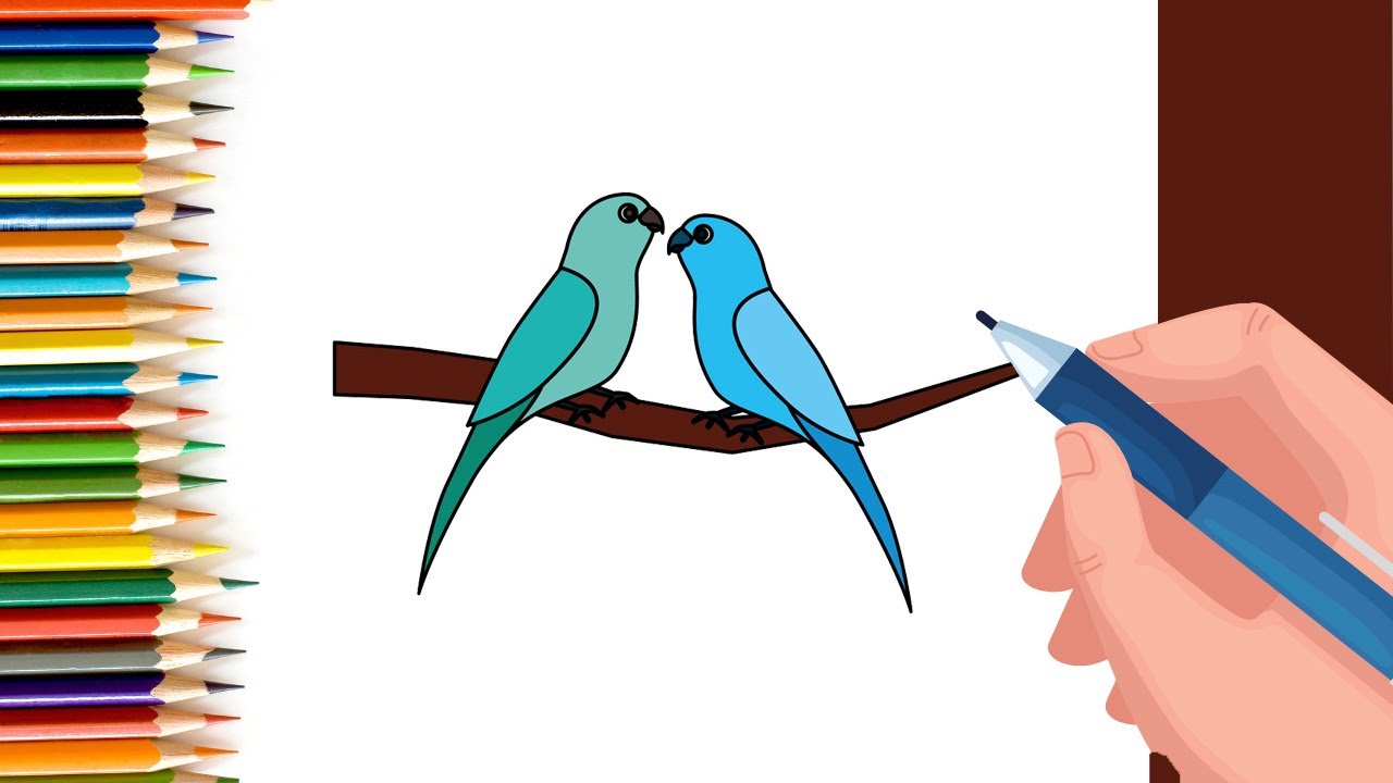 How To Draw A Parrot