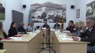 Ple vallromanes 21/11/2024