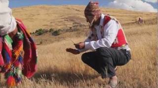 preview picture of video 'Comunidad campesina de Jullicunca (Cusco)'