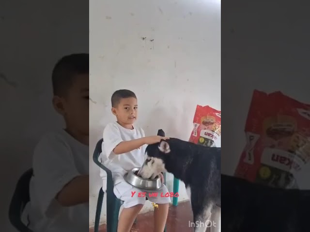 Video 7