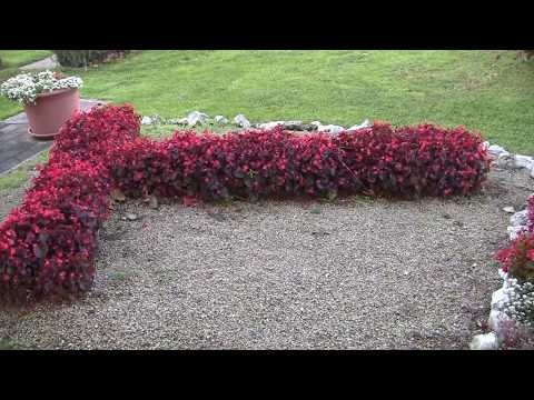 Franjevačke pučke misije, Galdovo 2017. - najava