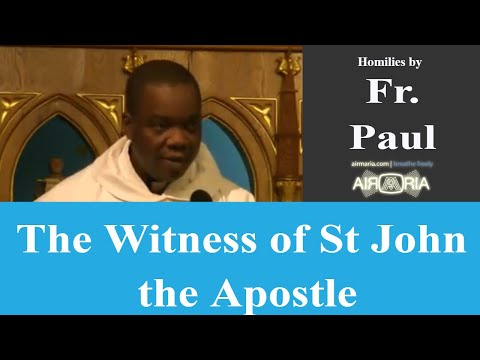 The Witness of St John the Apostle - Jan 06 - Homily - Fr Paul Ezinando
