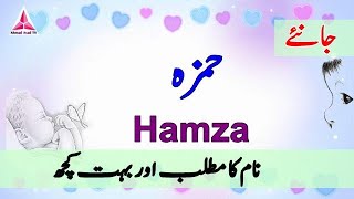 Hamza Name Meaning in Urdu