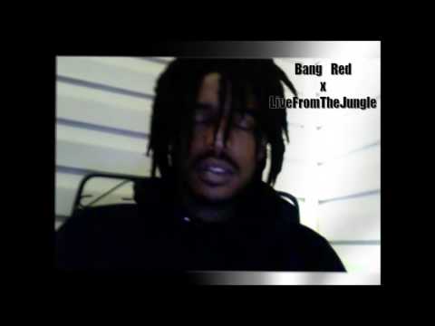 Bang Red x Live From The Jungle