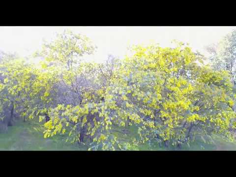 Cootamundra Mountain Bike Track