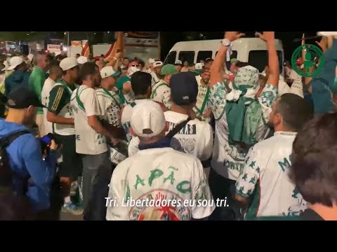 TRI LIBERTADORES EU SOU TRI l NOVA MÚSICA DA TORCIDA DO PALMEIRAS l EM MONTEVIDÉU