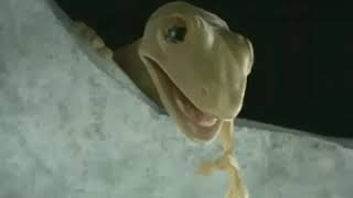 Download lagu Story WhatsApp - sedih cicak jatuh mati mp3 Download lagu Story WhatsApp - sedih cicak jatuh mati mp3