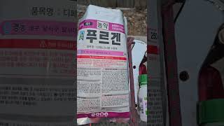 자두 6월 초.중순 필수 방제! 핵심 농약 총정리(농사의신)