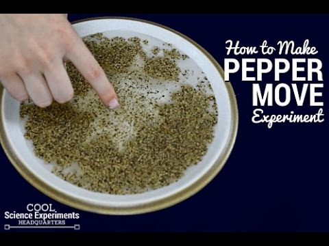 How to Make Pepper Move Experiment