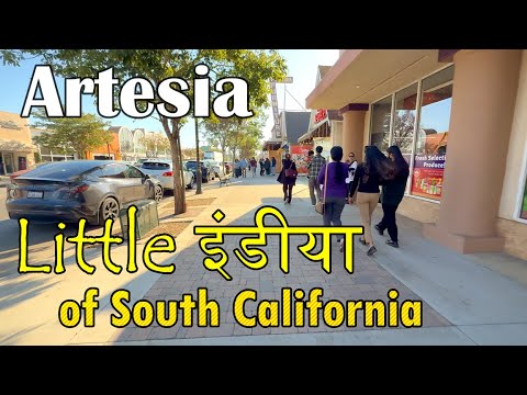 Artesia | Indian Restaurants in Los Angeles | USA Hindi Vlogs | Indian Restaurants in USA