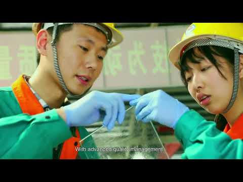download lagu mp3 mp4 Heated Glass Suppliers, download lagu Heated Glass Suppliers gratis, unduh video klip Heated Glass Suppliers