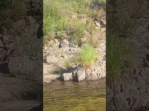 el vado. Alpa Corral #cordoba  #argentina  #viajes #turismo  #rio