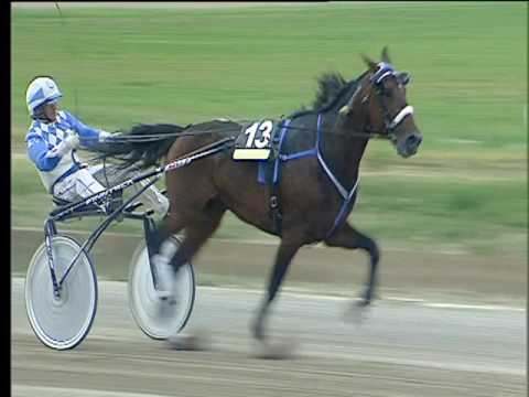 Trotto 12/05/2017 - 8ª corsa - TRIS