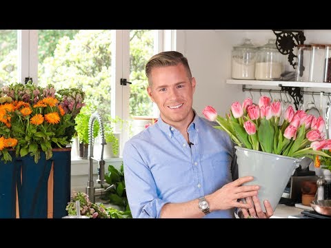 download lagu mp3 mp4 Easter Flower Arrangements For Church, download lagu Easter Flower Arrangements For Church gratis, unduh video klip Easter Flower Arrangements For Church