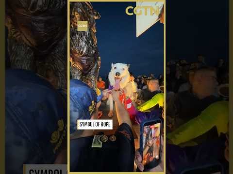 Venezuela honors earthquake search dog 'Tsunami' with statue