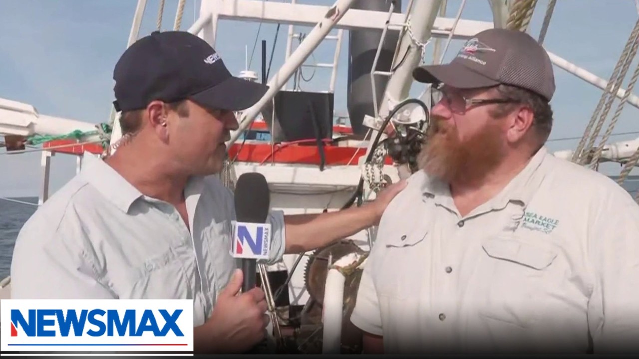 High costs, cheap imports threaten U.S. shrimpers | Wake Up America