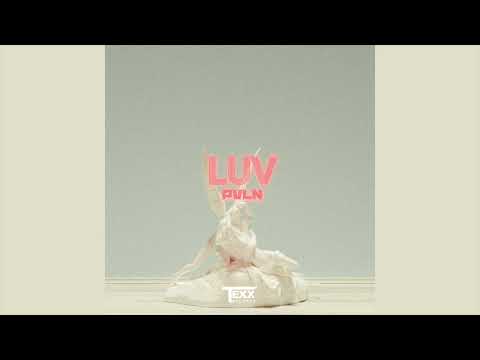 PVLN - Luv (Official Audio)