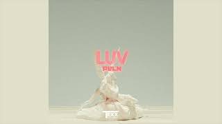 PVLN - Luv (Official Audio)