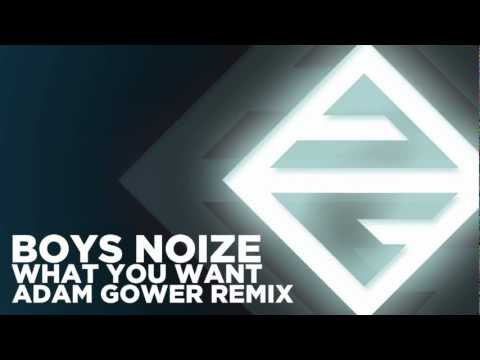 Boys Noize - What You Want - Adam Gower Remix
