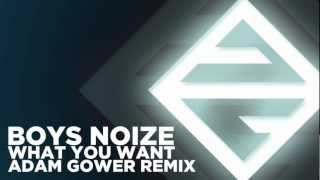 Boys Noize - What You Want - Adam Gower Remix