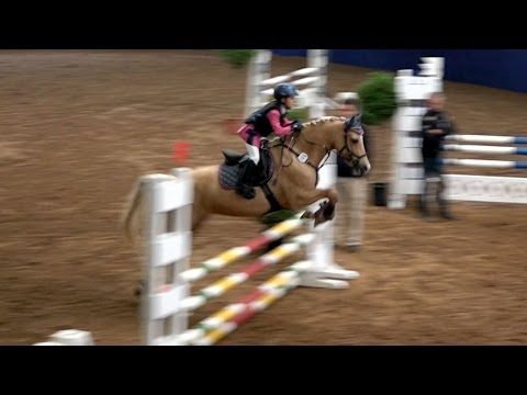 Malu (7) und Duebaree - Stil A in Montabaur-Horressen am 01.10.2016