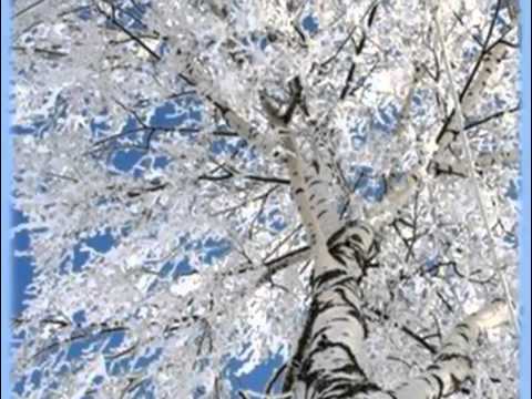 Ponomaryova The Birch Tree