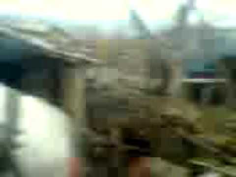 Caii lu' vasilică soferu'