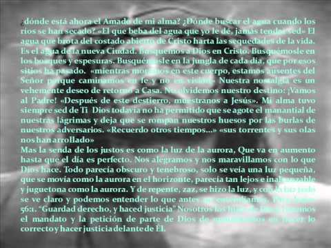 La cierva de la aurora