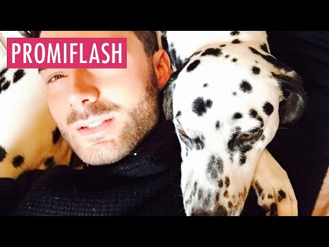 Video Thumbnail: 14,5 Jahre: Sam Dylan trauert um seine Hündin Lindsay London