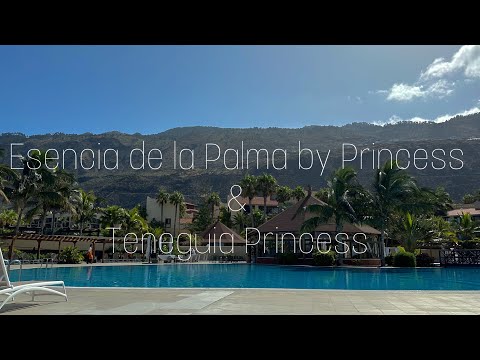 🇮🇨| Esencia de la Palma|4k