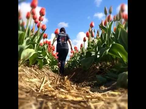 Rock bottom seems so far away 💐. (Featuring my favorite collab, with HumblePimp, Whamtan, Senan B...