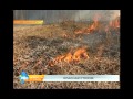 Пал травы стал причиной крупного пожара в Тулунском районе 