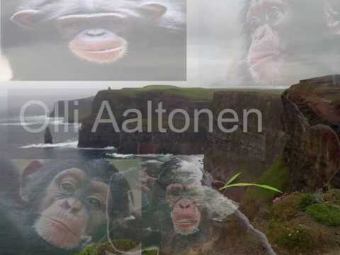 hong kong iceland london egypt bulgaria greece helsinki scorchin