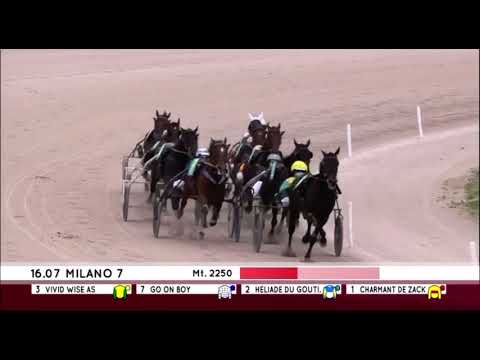 Premio Delle Nazioni 2023 -Vivid Wise As