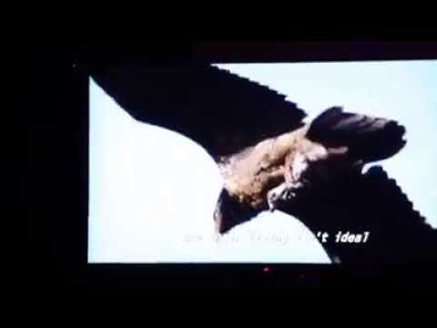 Lil Bibby ft A Boogie With The Hoodie - "Run It Up" (Unreleased)