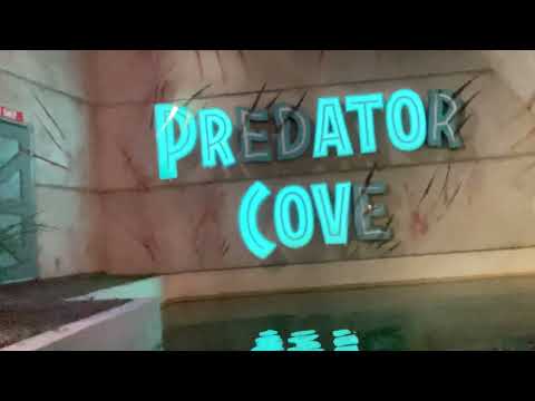 Jurassic World The Ride 4K Nighttime POV