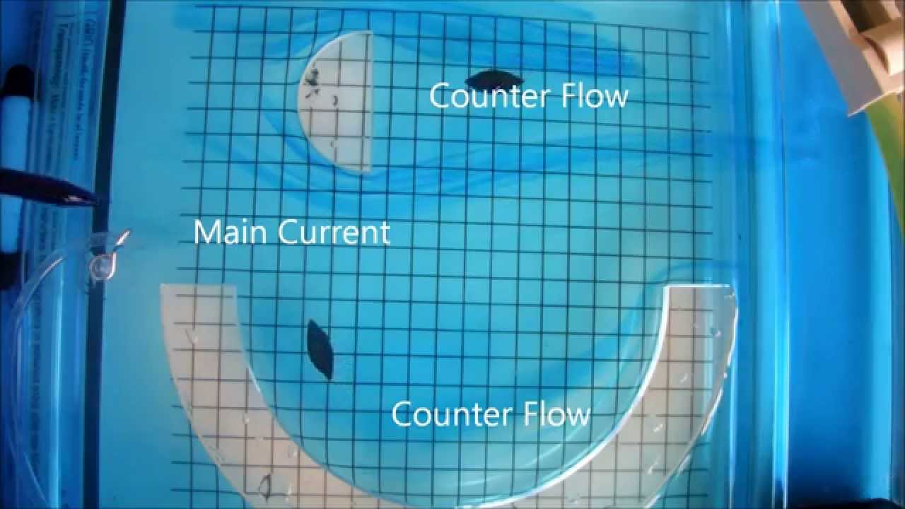 River Currents & Eddy Currents