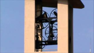 preview picture of video 'Le campane di San Martino di Bareggio'
