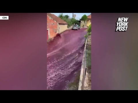 600,000 gallons of red wine flow through Portuguese town after spill, triggers environmental warning
