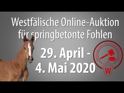 Trailer 1. Westfälische Online-Auktion für springbetonte Fohlen 29. April - 4. Mai 2020