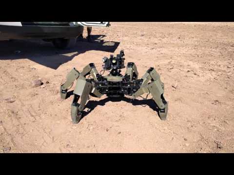 Orwell the Hexapod Robot