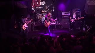 Rhino Bucket - Beg for your love