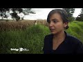 Maria's Story: Life After Deportation | MiWeek Clip