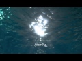 Underwater Scene From The CIty
