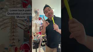 Download lagu Lower Back Pain? Focus to massage Quadratus Lumborum  mp3